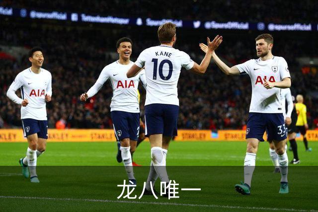 龙八唯一平台介绍图片